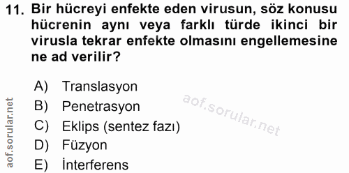 11. soru: Bir hücreyi enfekte eden virusun, söz konusu hücrenin aynı veya farklı türde ikinci bir virusla tekrar enfekte olması…