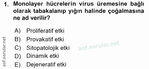 1. soru: Monolayer hücrelerin virus üremesine bağlı olarak tabakalanıp yığın halinde çoğalmasına ne ad verilir? A) Proliferati…