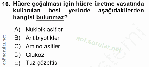 16. soru: Hücre çoğalması için hücre üretme vasatında kullanılan besik yerinde aşağıdakilerden hangisi bulunmaz? A) Nükleik asi…
