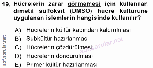 19. soru: Hücrelerin zarar görmemesi için kullanılan dimetil sülfoksit (DMSO) hücre kültürüne uygulanan işlemlerin hangisinde k…