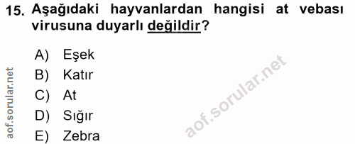 15. soru: Aşağıdaki hayvanlardan hangisi at vebası virusuna duyarlı değildir? A) Eşek B) Katır C) At D) Sığır E) Zebra
