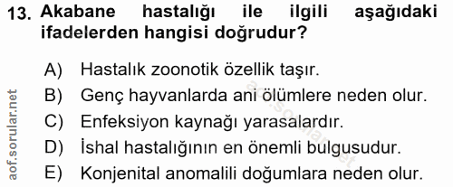 13. soru: Akabane hastalığl ile ligili aşağıdaki ifadelerden hangisi doğrudur? A) Hastalık zoonotik özellik taşır. B) Genç hayv…