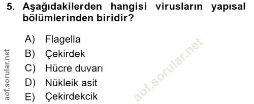 5. soru: Aşağıdakilerden hangisi virusların yapısal bölümlerinden biridir? A) Flagella B) Çekirdek C) Hücre duvarı D) Nükleik…
