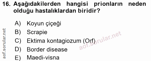 16. soru: Aşağıdakilerden hangisi prionların neden olduğu hastalıklardan biridir? A) Koyun çiçeği B) Scrapie C) Ektima kontagio…