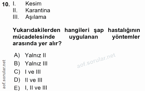 10. soru: 1. Kesim II. Karantina III. Aşılama Yukarıdakilerden hangileri şap hastalığının mücadelesinde uygulanan yöntemler ara…