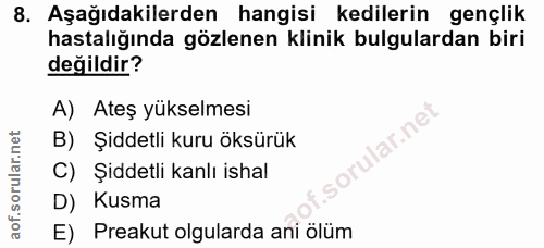 8. soru: Aşağıdakilerden hangisi kedilerin gençlik hastalığında gözlenen klinik bulgulardan biri değildir? A) Ateş yükselmesi…