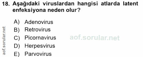 18. soru: Aşağıdaki viruslardan hangisi atlarda latent enfeksiyona neden olur? A) Adenovirus B) Retrovirus C) Picornavirus D) H…