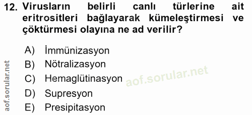 12. soru: Virusların belirli canli türlerine ait eritrositleri bağlayarak kümeleştirmesi ve çöktürmesi olayına ne ad verilir? A…