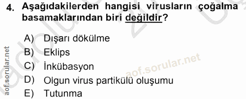 4. soru: Aşağıdakilerden hangisi virusların çoğalma basamaklarından biri değildir? A) Dışarı dökülme B) Eklips C) Inkübasyon D…