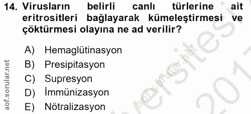 14. soru: Virusların belirli canli türlerine ait eritrositleri bağlayarak kümeleştirmesi ve çöktürmesi olayına ne ad verilir? A…