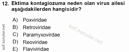 12. soru: Ektima kontagiozuma neden olan virus ailesi aşağıdakilerden hangisidir? A) Poxviridae B) Retroviridae C) Paramyxovird…