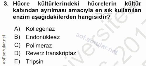 3. soru: Hücre kültürlerindeki hücrelerin kültür kabından ayrılması amacıyla en sık kullanılan enzim aşağıdakilerden hangisidi…