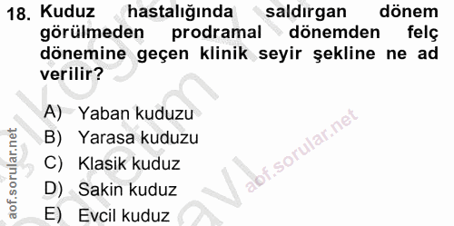 18. soru: Kuduz hastalığında saldırgan dönem görülmeden prodramal dönemden felç dönemine geçen klinik seyir şekline ne ad veril…