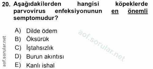20. soru: Aşağıdakilerden hangisi köpeklerde parvovirus enfeksiyonunun en önemli semptomudur? A) Dilde ödem B) Öksürük C) Iştah…