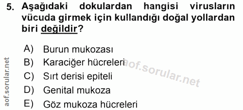 5. soru: Aşağıdaki dokulardan hangisi virusların vücuda girmek için kullandığı doğal yollardan biri değildir? A) Burun mukozas…