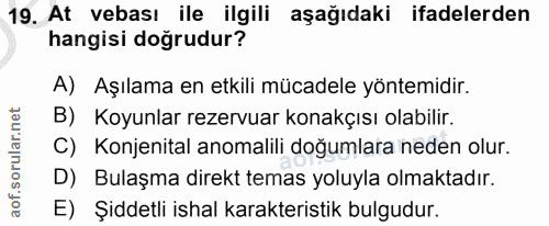 19. soru: At vebası ile ilgili aşağıdaki ifadelerden hangisi doğrudur? A) Aşılama en etkili mücadele yöntemidir. B) Koyunlar re…