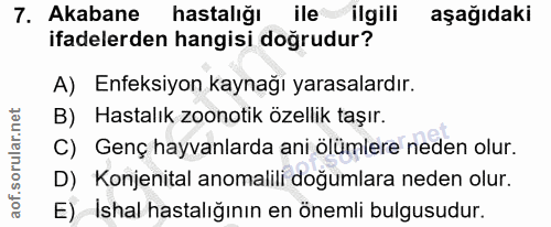 7. soru: Akabane hastalığı ile ilgili aşağıdaki ifadelerden hangisi dogrudur? A) Enfeksiyon kaynağı yarasalardır. B) Hastalık…