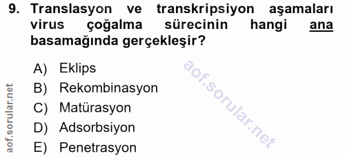 9. soru: Translasyon ve transkripsiyon aşamaları virus çoğalma sürecinin hangi ana basamağında gerçekleşir? A) Eklips B) Rekom…
