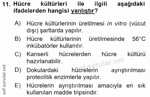 11. soru: Hücre kültürleri ile ilgili aşağıdaki ifadelerden hangisi yanlıştır? A) Hücre kültürlerinin üretilmesi in vitro (vücu…