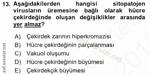 13. soru: Aşağıdakilerden hangisi sitopatojen virusların üremesine bağlı olarak hücre çekirdeğinde oluşan değişiklikler arasınd…
