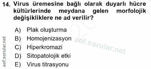 14. soru: Virus üremesine bağlı olarak duyarlı hücre kültürlerinde meydana gelen morfolojik değişikliklere ne ad verilir? B) Ho…