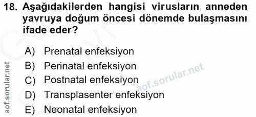 18. soru: Aşağıdakilerden hangisi virusların anneden yavruya doğum öncesi dönemde bulaşmasını ifade eder? A) Prenatal enfeksiyo…
