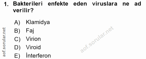 1. soru: Bakterileri enfekte eden viruslara ne ad verilir? A) Klamidya B) Faj C) Virion D) Viroid E) interferon