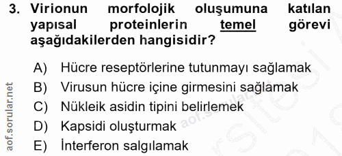 3. soru: Virionun morfolojik oluşumuna katılan yapısal proteinlerin temel görevi aşağıdakilerden hangisidir? A) Hücre reseptör…