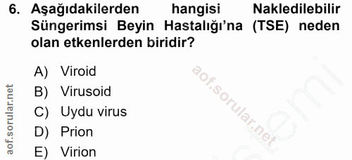 6. soru: Aşağıdakilerden hangisi Nakledilebilir Süngerimsi Beyin Hastalığı'na (TSE) neden olan etkenlerden biridir? A) Viroid…