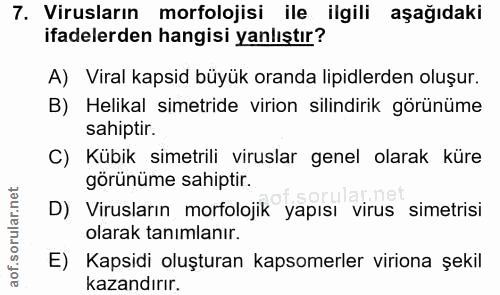 7. soru: Virusların morfolojisi ile ilgili aşağıdaki ifadelerden hangisi yanlıştır? A) Viral kapsid büyük oranda lipidlerden o…