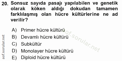 20. soru: Sonsuz sayıda pasajı yapılabilen ve genetik olarak köken aldığı dokudan tamamen farklılaşmış olan hücre kültürlerine…
