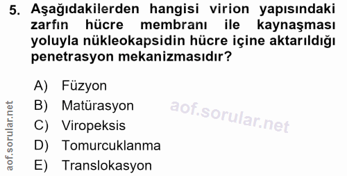 5. soru: Aşağıdakilerden hangisi virion yapısındaki zarfın hücre membranı ile kaynaşması yoluyla nükleokapsidin hücre içine ak…