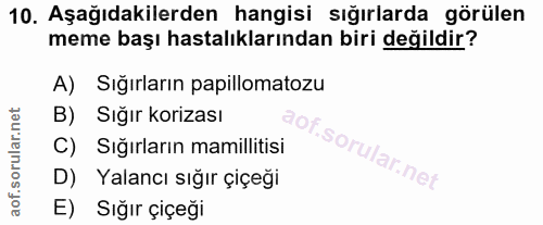 10. soru: Aşağıdakilerden hangisi sığırlarda görülen meme başı hastalıklarından biri değildir? A) Sığırların papillomatozu B) S…