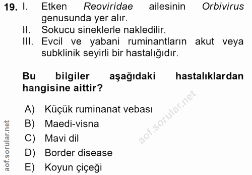 19. soru: 1. Etken Reviridae ailesinin Orbivirus genusunda yer alır. II. Sokucu sineklerle nakledilir. IlI. Evcil ve yabani rum…