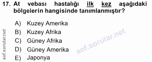 17. soru: At vebası hastalığı ilk kez aşağıdaki bölgelerin hangisinde tanımlanmıştır? A) Kuzey Amerika B) Kuzey Afrika C) Güney…