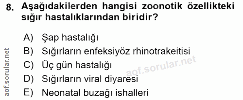 8. soru: Aşağıdakilerden hangisi zoonotik özellikteki sığır hastalıklarından biridir? A) Şap hastalığı B) Sığırların enfeksiyö…