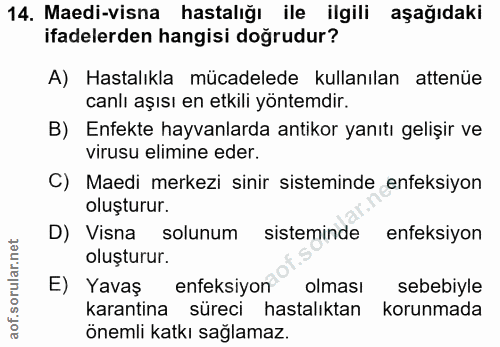 14. soru: Maedi-visna hastalığı ile ilgili aşağıdaki ifadelerden hangisi doğrudur? A) Hastalıkla mücadelede kullanılan attenüe…
