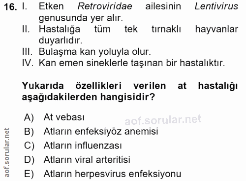 16. soru: l. Etken Retroviridae ailesinin Lentivirus genusunda yer alır. II. Hastalığa tüm tek tırnaklı hayvanlar duyarlıdır. I…