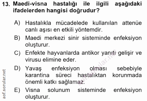 13. soru: Maedi-visna hastalığı ile ilgili aşağıdaki ifadelerden hangisi doğrudur? A) Hastalıkla mücadelede kullanılan attenüe…