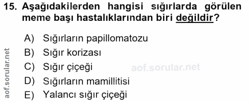 15. soru: Aşağıdakilerden hangisi sığırlarda görülen meme başı hastalıklarından biri değildir? A) Sığırların papillomatozu B) S…