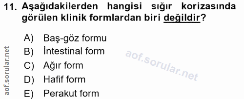 11. soru: Aşağıdakilerden hangisi sığır korizasında görülen klinik formlardan biri değildir? A) Baş-göz formu B) Intestinal for…