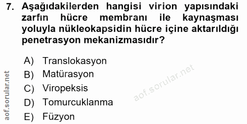 7. soru: Aşağıdakilerden hangisi virion yapısındaki zarfın hücre membranı ile kaynaşması yoluyla nükleokapsidin hücre içine ak…