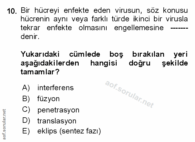 10. soru: Bir hücreyi enfekte eden virusun, söz konusu hücrenin aynı veya farklı türde ikinci bir virusla tekrar enfekte olması…