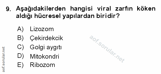 9. soru: Aşağıdakilerden hangisi viral zarfın koken aldığı hücresel yapılardan biridir? A) Lizozom B) Çekirdekcik C) Golgi ayg…