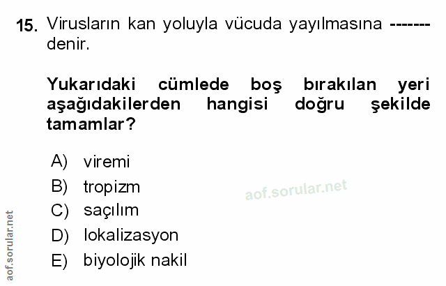 15. soru: Virusların kan yoluyla vücuda yayılmasına -. denir. Yukarıdaki cümlede boş bırakılan yeri aşağıdakilerden hangisi doğ…