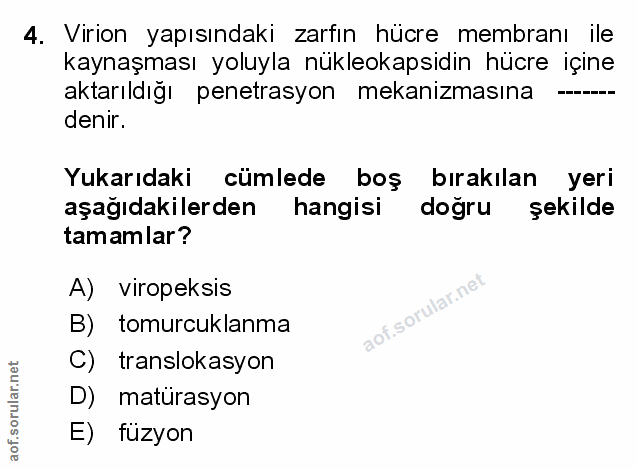 4. soru: Virion yapısındaki zarfın hücre membranı ile kaynaşması yoluyla nükleokapsidin hücre içine aktarıldığı penetrasyon me…