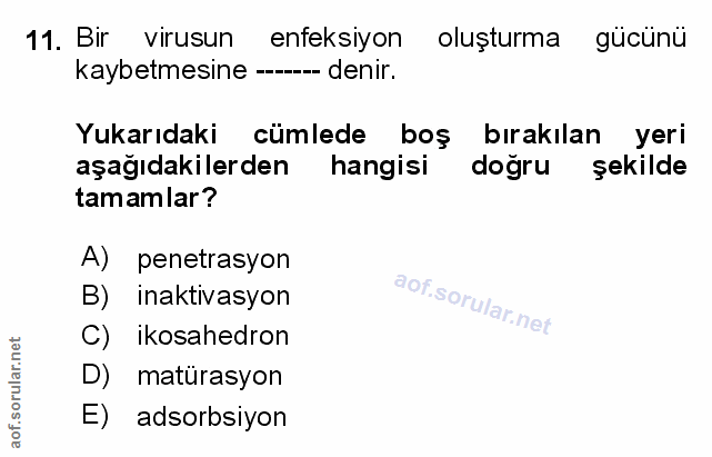 11. soru: Bir virusun enfeksiyon oluşturma gücünü kaybetmesine ------ denir. Yukarıdaki cümlede boş bırakılan yeri aşağıdakiler…