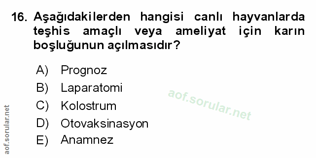 16. soru: Aşağıdakilerden hangisi canlı hayvanlarda teşhis amaçlı veya ameliyat için karın boşluğunun açılmasıdır? A) Prognoz B…