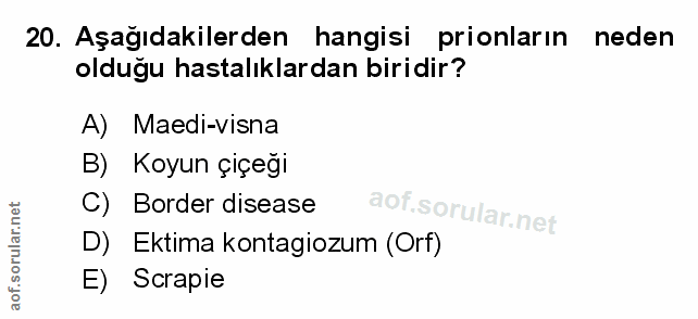 20. soru: Aşağıdakilerden hangisi prionların neden olduğu hastalıklardan biridir? A) Maedi-visna B) Koyun çiçeği C) Border dise…