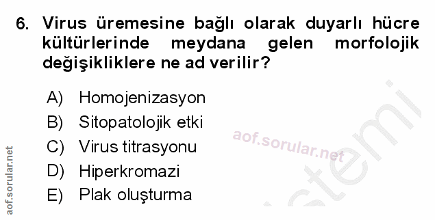 6. soru: Virus üremesine bağlı olarak duyarlı hücre kültürlerinde meydana gelen morfolojik degişikliklere ne ad verilir? A) Ho…